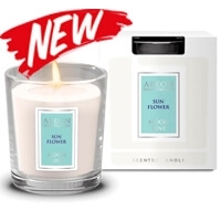 Арома Свічки Home Perfumes Moon Line
